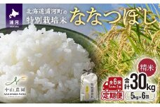 【先行受付開始！】浦河の特別栽培米「ななつぼし」精米(5kg×1袋)定期便(全6回)[37-1490]