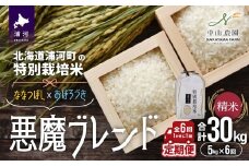 【先行受付開始！】北海道浦河町の特別栽培米「悪魔ブレンド」精米(5kg×1袋)定期便(全6回)[37-1497]