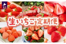 【来年1月より発送！】全6品種が届く！生いちご定期便(全6回)[13-1130]