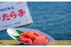 浦河前浜産 たらこ定期便(全3回)[26-1503]