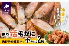 【先行受付開始！】漁協の活毛がに 中サイズ２尾セット※日付指定対応不可※[02-175]