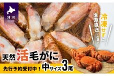 【先行受付開始！】漁協の活毛がに 中サイズ３尾セット※日付指定対応不可※[02-176]