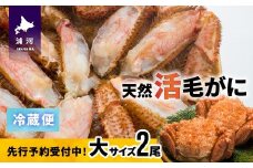 【先行受付開始！】漁協の活毛がに 大サイズ２尾セット※日付指定対応不可※[02-507]