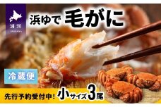 【先行受付開始！】漁協の浜ゆで毛がに 小サイズ３尾セット※日付指定対応不可※[02-1201]