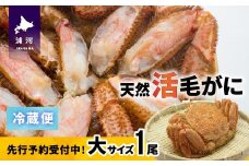 【先行受付開始！】漁協の活毛がに 大サイズ１尾※日付指定対応不可※[02-1204]