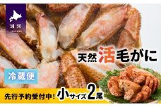 【先行受付開始！】漁協の活毛がに 小サイズ２尾セット※日付指定対応不可※[02-1205]