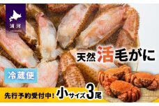 【先行受付開始！】漁協の活毛がに 小サイズ３尾セット※日付指定対応不可※[02-1206]