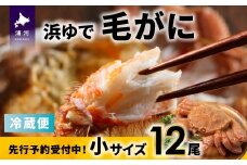 【先行受付開始！】漁協の浜ゆで毛がに 小サイズ12尾セット※日付指定対応不可※[02-1415]