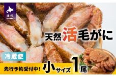 【先行受付開始！】漁協の活毛がに 小サイズ１尾※日付指定対応不可※[02-1419]