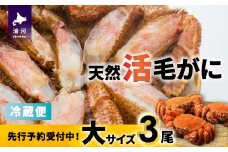 【先行受付開始！】漁協の活毛がに 大サイズ３尾※日付指定対応不可※[02-1420]