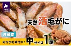 【先行受付開始！】漁協の活毛がに 中サイズ１尾※日付指定対応不可※[02-1421]