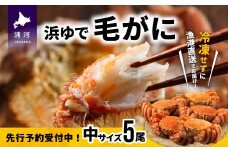 【先行受付開始！】漁協の浜ゆで毛がに 中サイズ５尾セット※日付指定対応不可※[02-628]