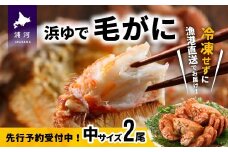 【先行受付開始！】漁協の浜ゆで毛がに 中サイズ２尾セット※日付指定対応不可※[02-173]