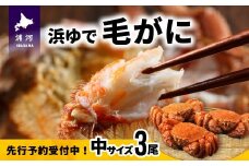 【先行受付開始！】漁協の浜ゆで毛がに 中サイズ３尾セット※日付指定対応不可※[02-174]