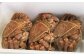 発泡箱に入れて冷蔵発送します。