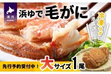 【先行受付開始！】漁協の浜ゆで毛がに 大サイズ1尾※日付指定対応不可※[02-346]