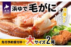 【先行受付開始！】漁協の浜ゆで毛がに 大サイズ２尾セット※日付指定対応不可※[02-776]