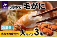 【先行受付開始！】漁協の浜ゆで毛がに 大サイズ３尾※日付指定対応不可※[02-1416]