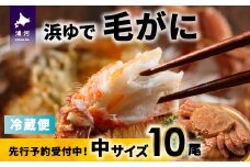 【先行受付開始！】漁協の浜ゆで毛がに 中サイズ10尾※日付指定対応不可※[02-1418]