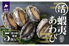 【12月発送！】活蝦夷あわび×5個[46-1344]