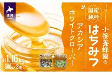 国産純粋完熟はちみつ大瓶セット(アカシア・ホワイトクローバー)580g×2本[16-1524]