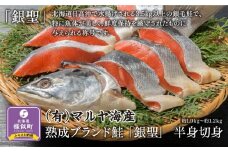 【熟成】 ブランド鮭 「銀聖」 半身切身