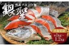 【熟成】 ブランド鮭 「銀聖」 半身切身