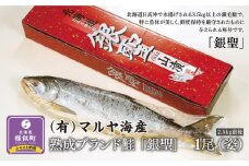 【熟成】 ブランド鮭 「銀聖」 1尾(姿)