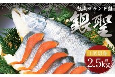 【熟成】 ブランド鮭 「銀聖」 1尾(切身)　