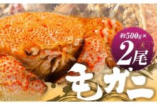 【ミソたっぷり身がぎっしり詰まった】＜毛がに(大)＞約500ｇ×2尾