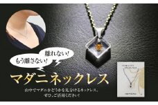 もう離さない！離れない！ マダニネックレス