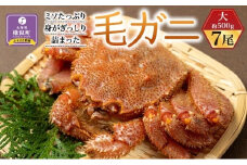 ミソたっぷり身がぎっしり詰まった毛ガニ(大)約500g×７尾