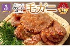 ミソたっぷり身がぎっしり詰まった毛ガニ(大)約500g×34尾