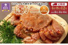 〈定期便4・8・12月〉【ミソたっぷり身がぎっしり詰まった】＜毛ガニ(大)＞約500g×１４尾【2024年4月～順次発送】