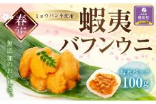 【春うに】 蝦夷バフンウニ 塩水パック 100g×1P【2025年4月頃より発送】