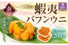 【春うに】 蝦夷バフンウニ 塩水パック 100g×2P【2025年4月頃より発送】
