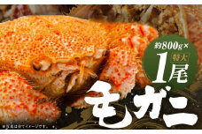 ミソたっぷり身がぎっしり詰まった毛ガニ(特大)約800g×1尾