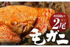 ミソたっぷり身がぎっしり詰まった毛ガニ(特大)約800g×2尾