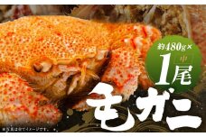 ミソたっぷり身がぎっしり詰まった毛ガニ(中)約480g×1尾