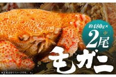 ミソたっぷり身がぎっしり詰まった毛ガニ(中)約480g×2尾