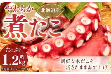【やわらか】煮たこ（約1.2Kg)