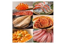 【定期便】「北のpremium便(B)」＜2025年2月より発送＞(全6回)