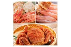 【定期便】豪華「三大ガニ(たらば・ずわい・毛がに)」(全3回) 2025年1月より発送
