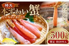 【特大】「本ずわい蟹」むいちゃいました！！　500ｇ