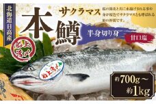 本鱒（サクラマス）船上活〆半身切り身【甘口塩】（半身約700g～1000g）