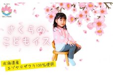 エゾヤマザクラの子供用木製椅子【様似町アポイ岳】