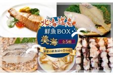 カネオ成栄丸のおまかせお魚BOX 美海(5種）