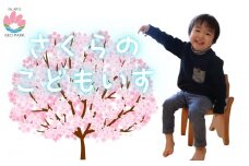 エゾヤマザクラの子供用木製椅子【樹木デザイン】