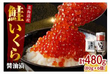 【2025年10月以降発送】北海道産いくら醤油漬480g(80g×6)【er001-019-a】/ イクラ 鮭いくら 鮭イクラ 醤油漬け 鮭卵 特製タレ付 魚卵 魚介 魚介類 海鮮 海産物 海の幸 国産 北海道産 北海道 えりも町