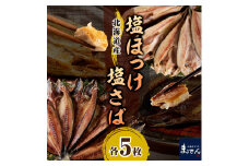 【北海道産】塩ホッケ＆塩サバセット 各200g以上×5枚【er002-039-a】